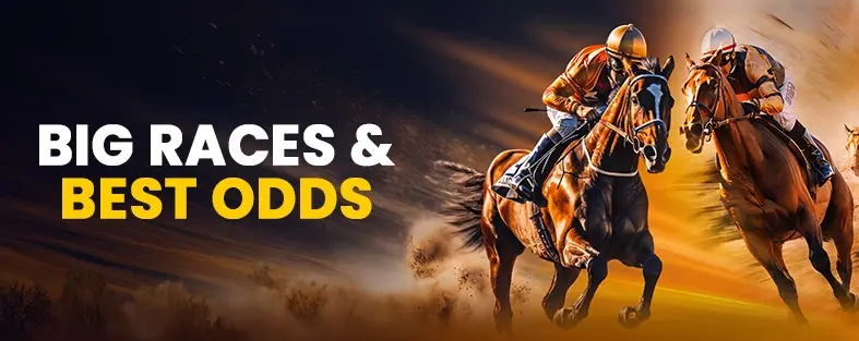 SPORTS CASHBACK 20%
